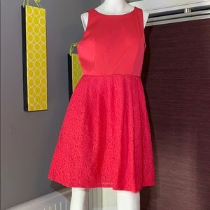 Adrianna Papell- NWT- peony pink lace dress. 💚